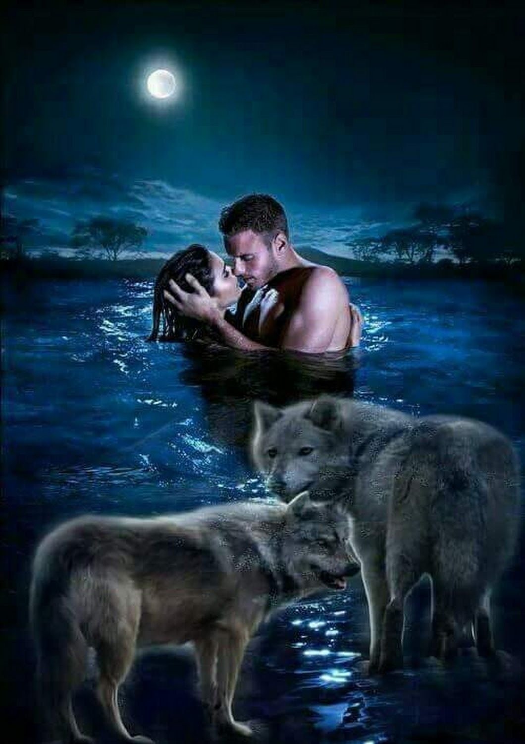 Спокойной ночи волк