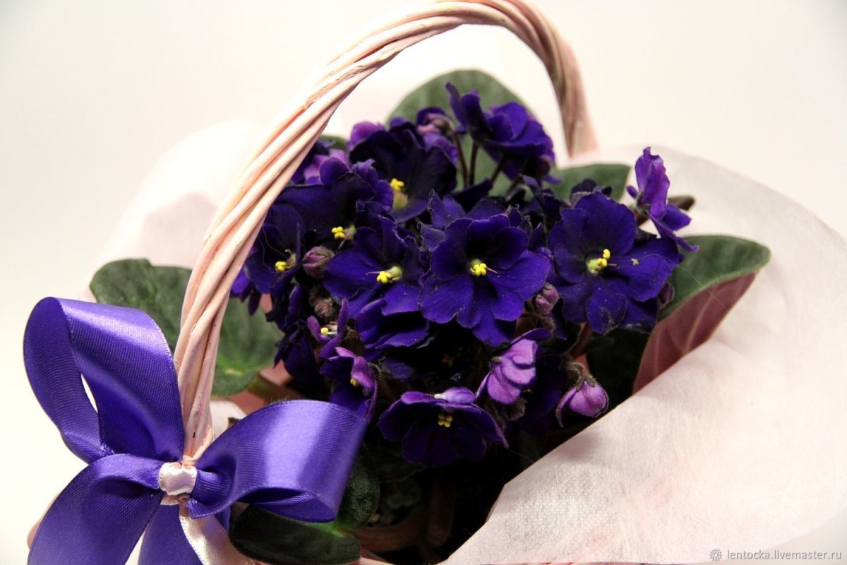 Цветочный букет из фиалок