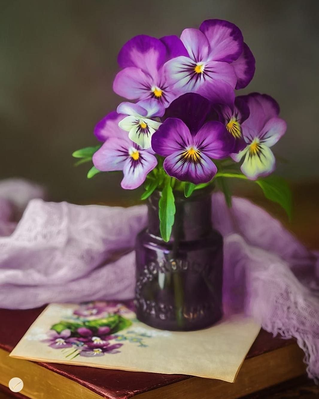 Букет анютиных глазок