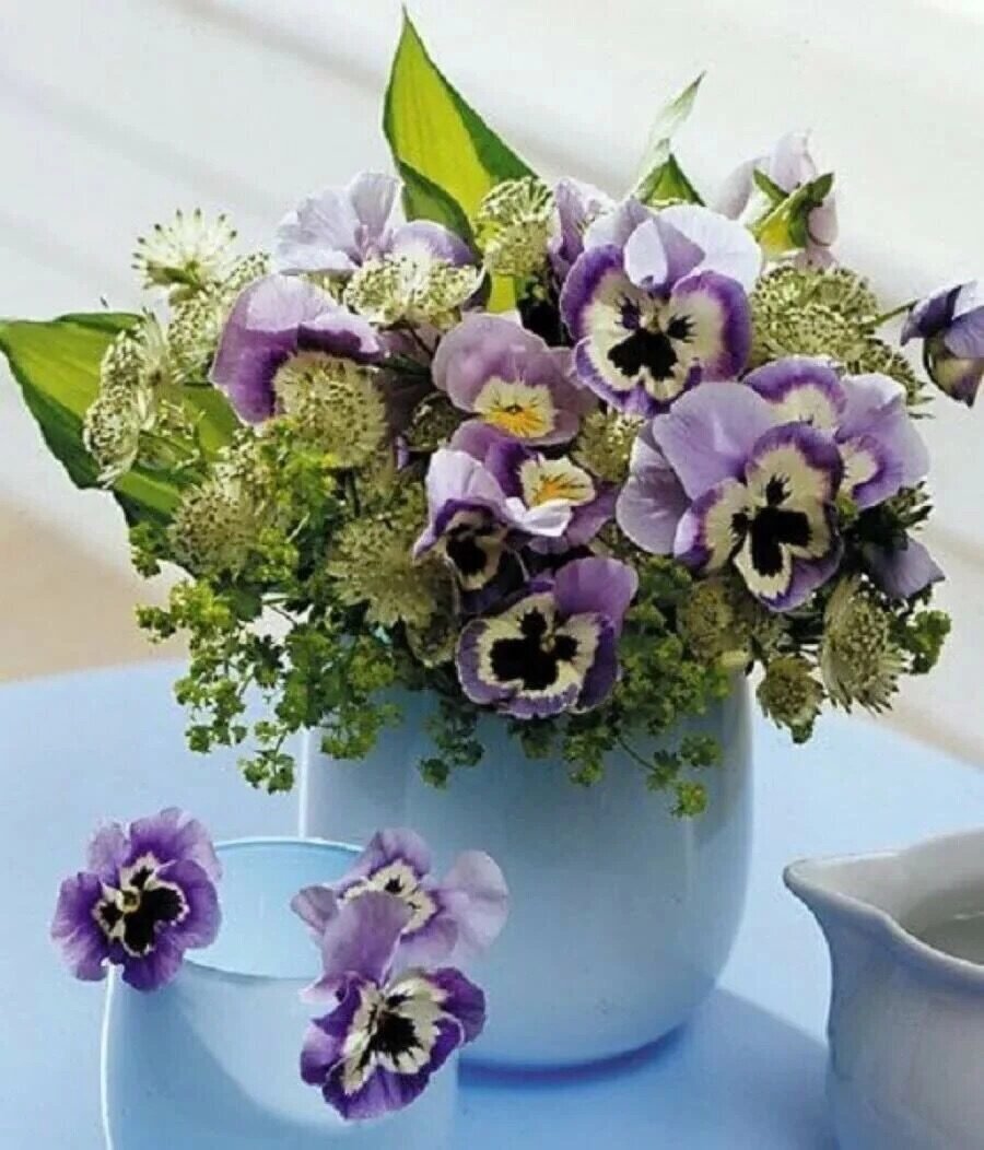 Букет анютиных глазок