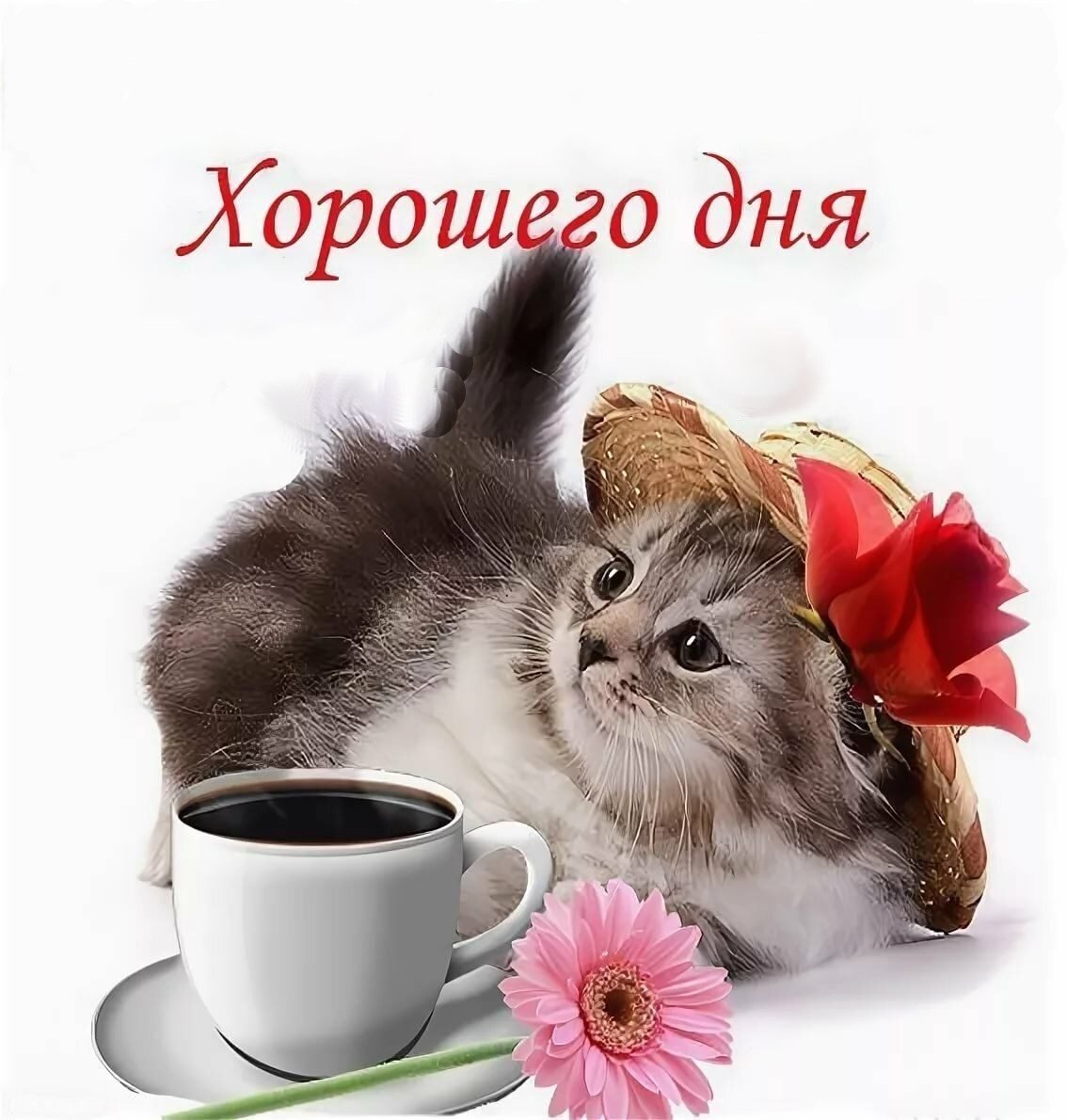 Доброе утро зорошего дея