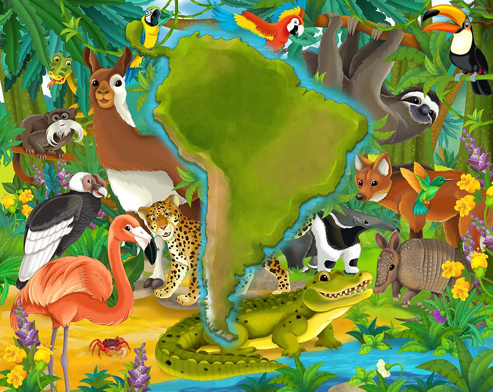 Животный мир Южной Америки для детей