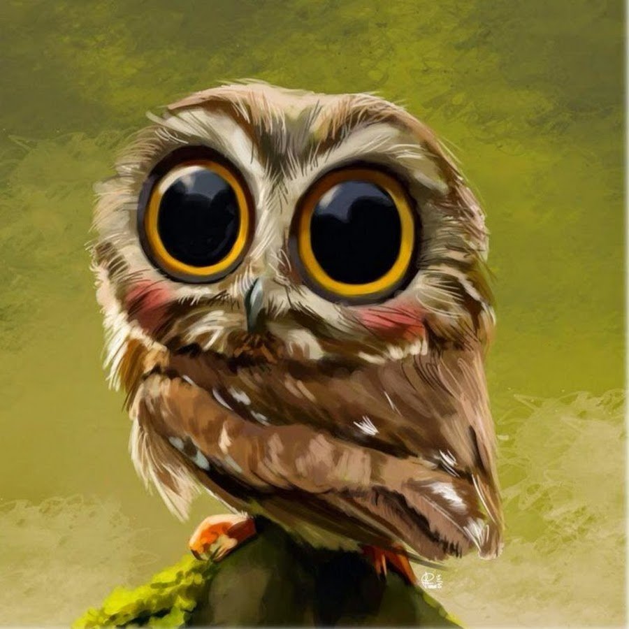 Милая Сова в очках