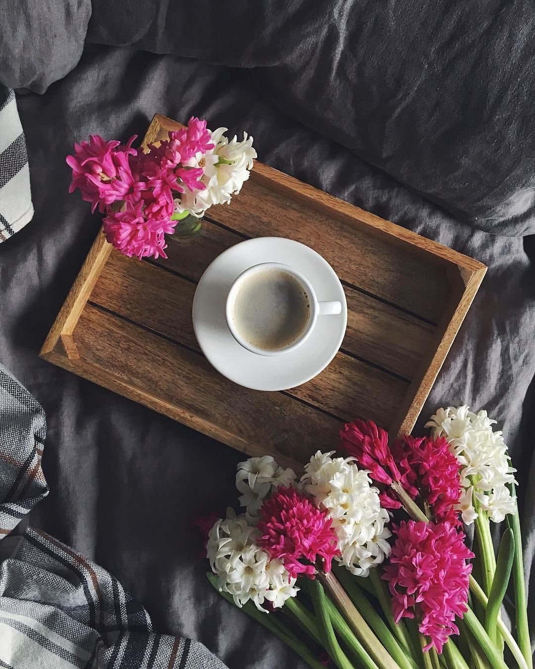 Тюльпаны и книги