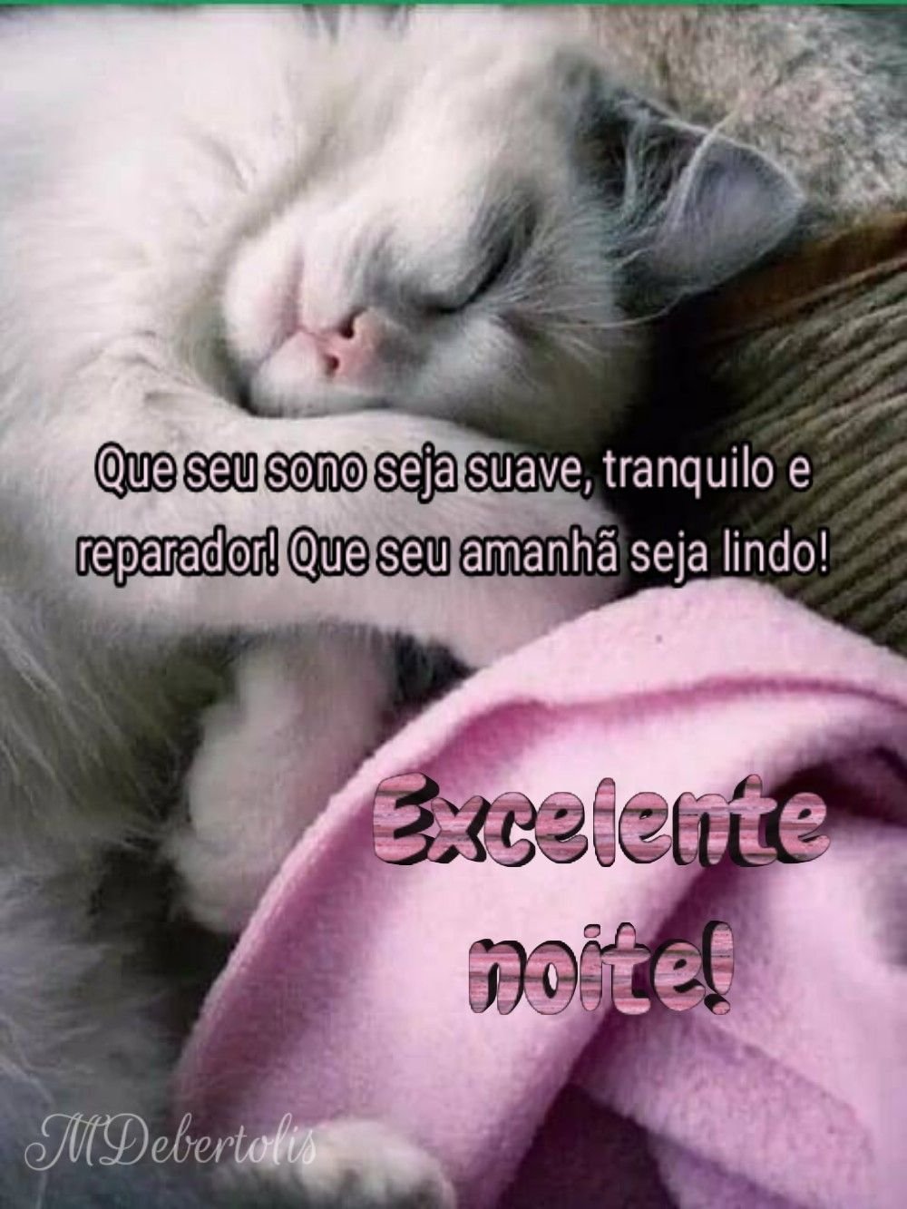 Котенок спит