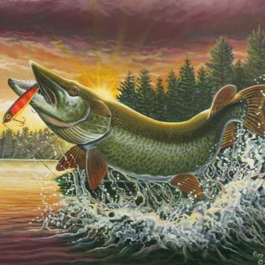 Musky Pike