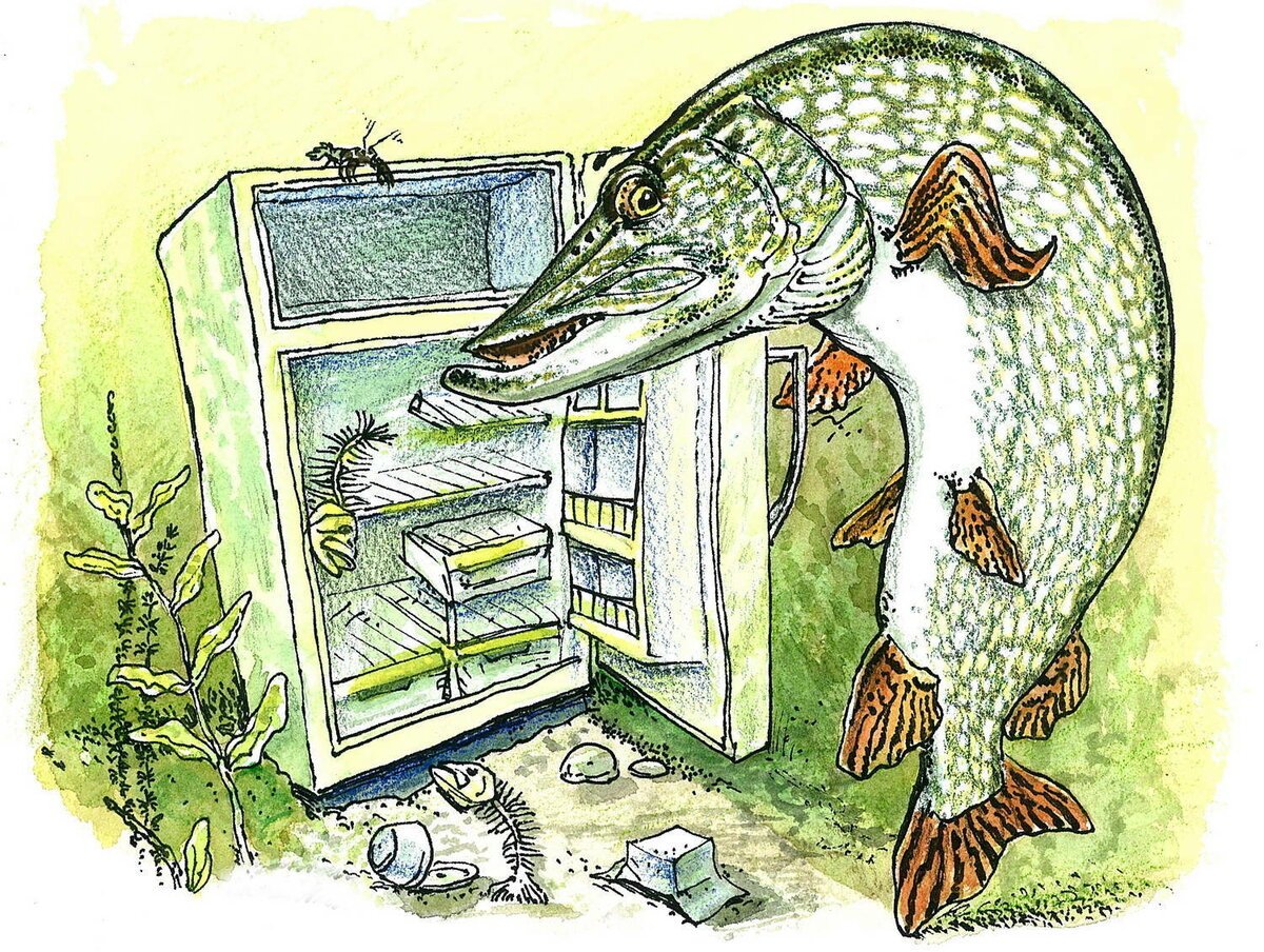 Щука карикатура