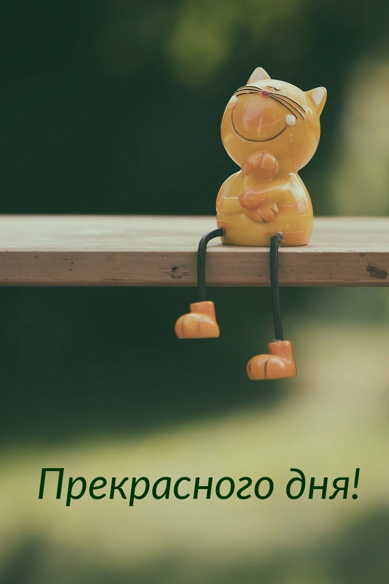 Приятные фразы