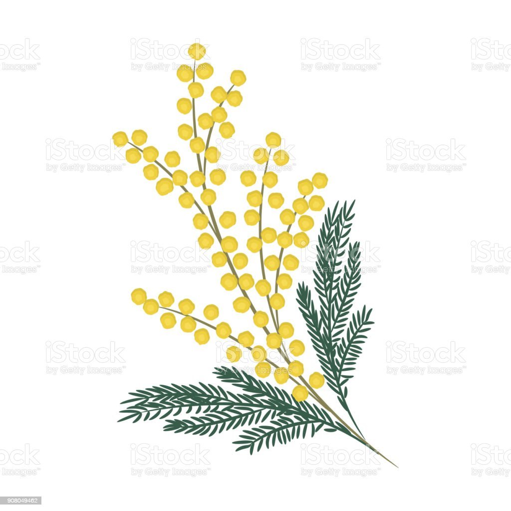 Карточки Домана цветы для детей