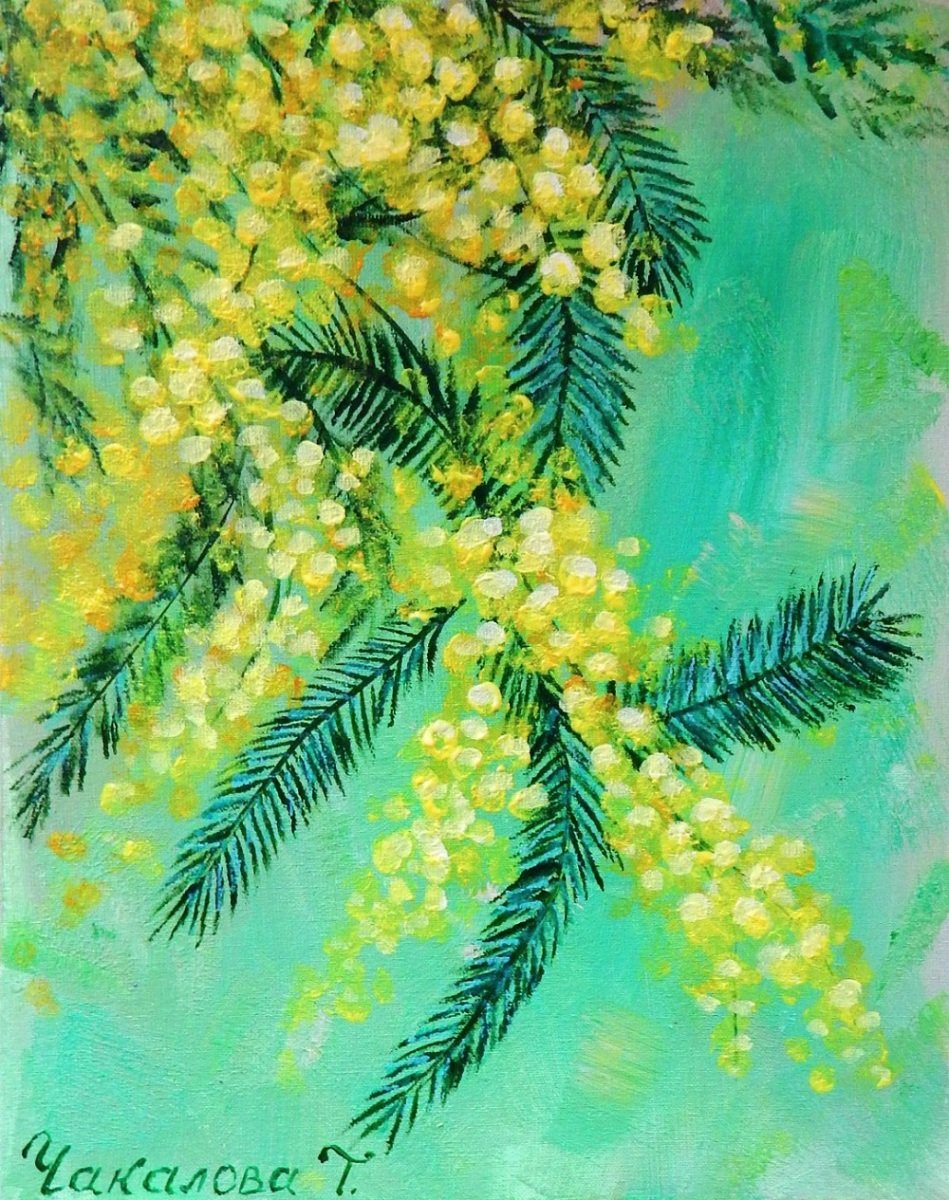 Мимоза на гербе