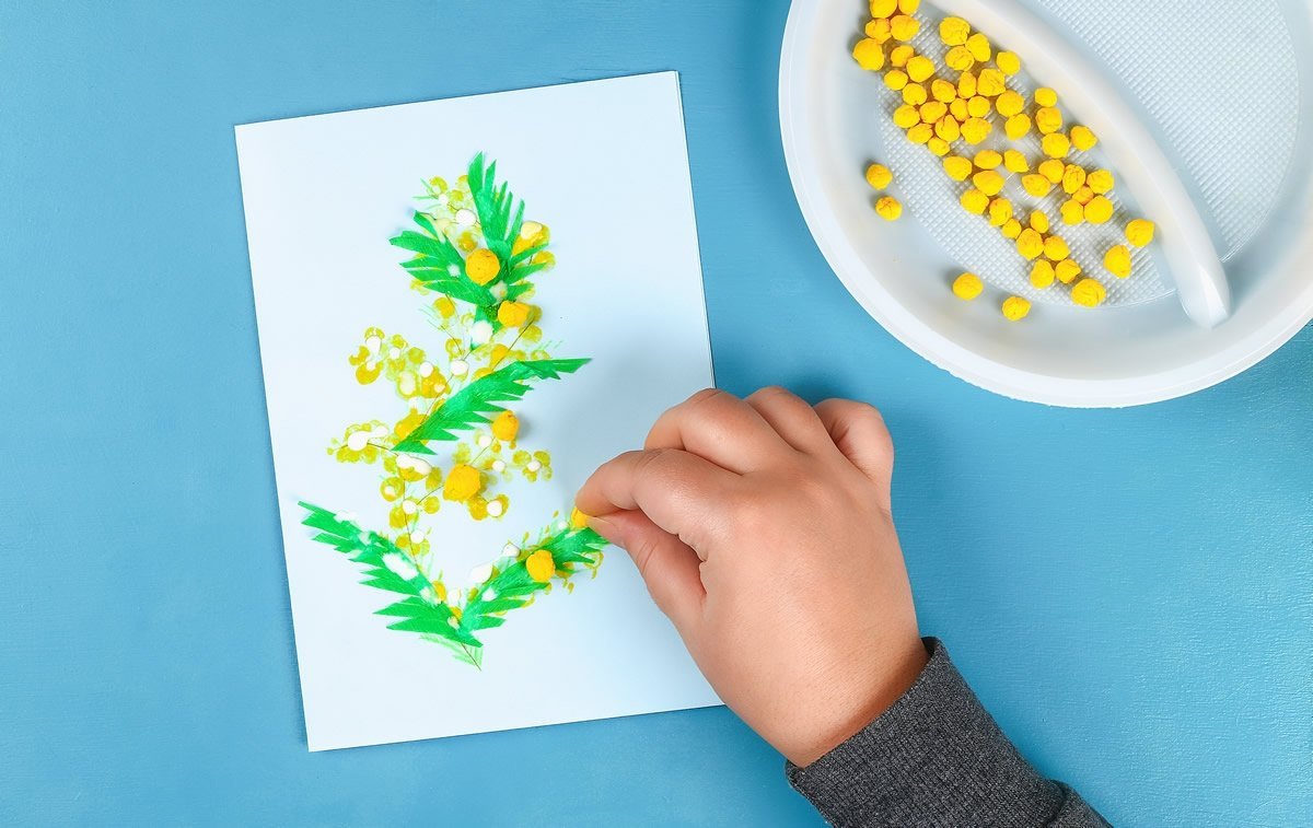 Красивые веточки мимозы на белом