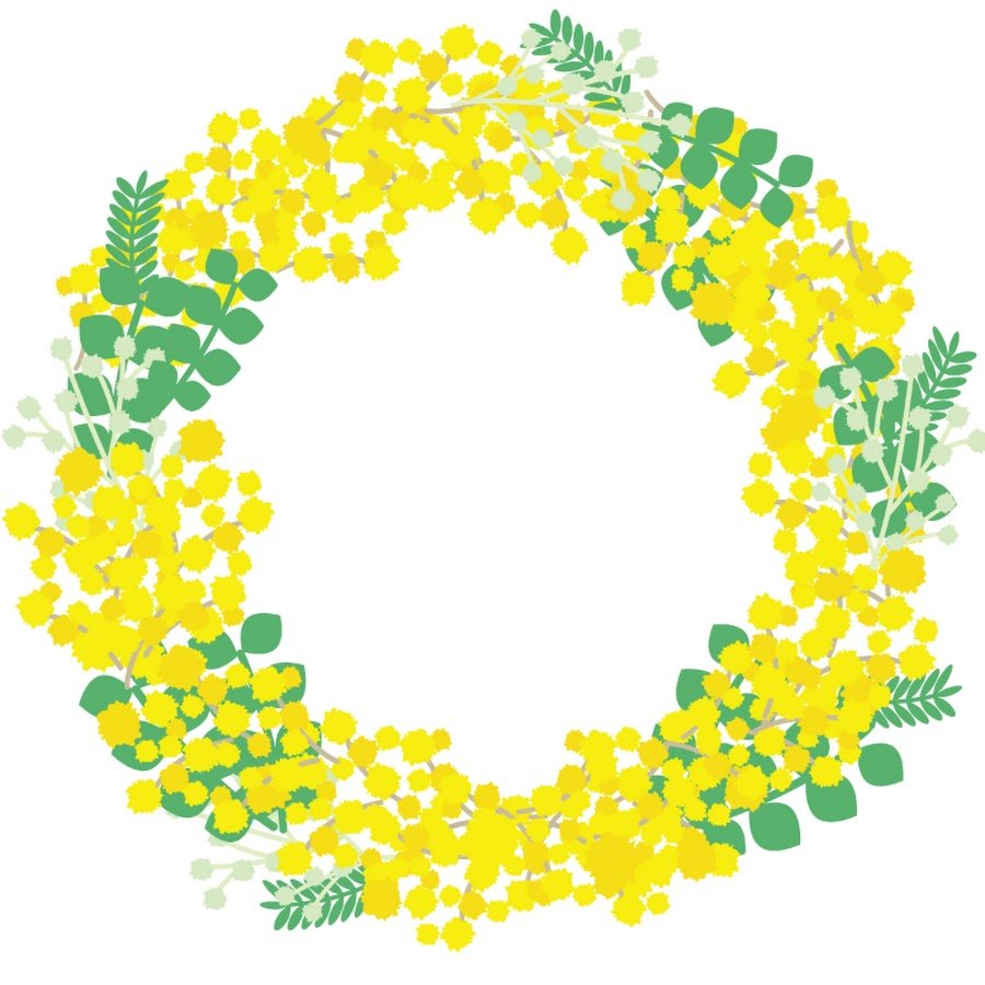 Картинка мимоза для детей в детском саду