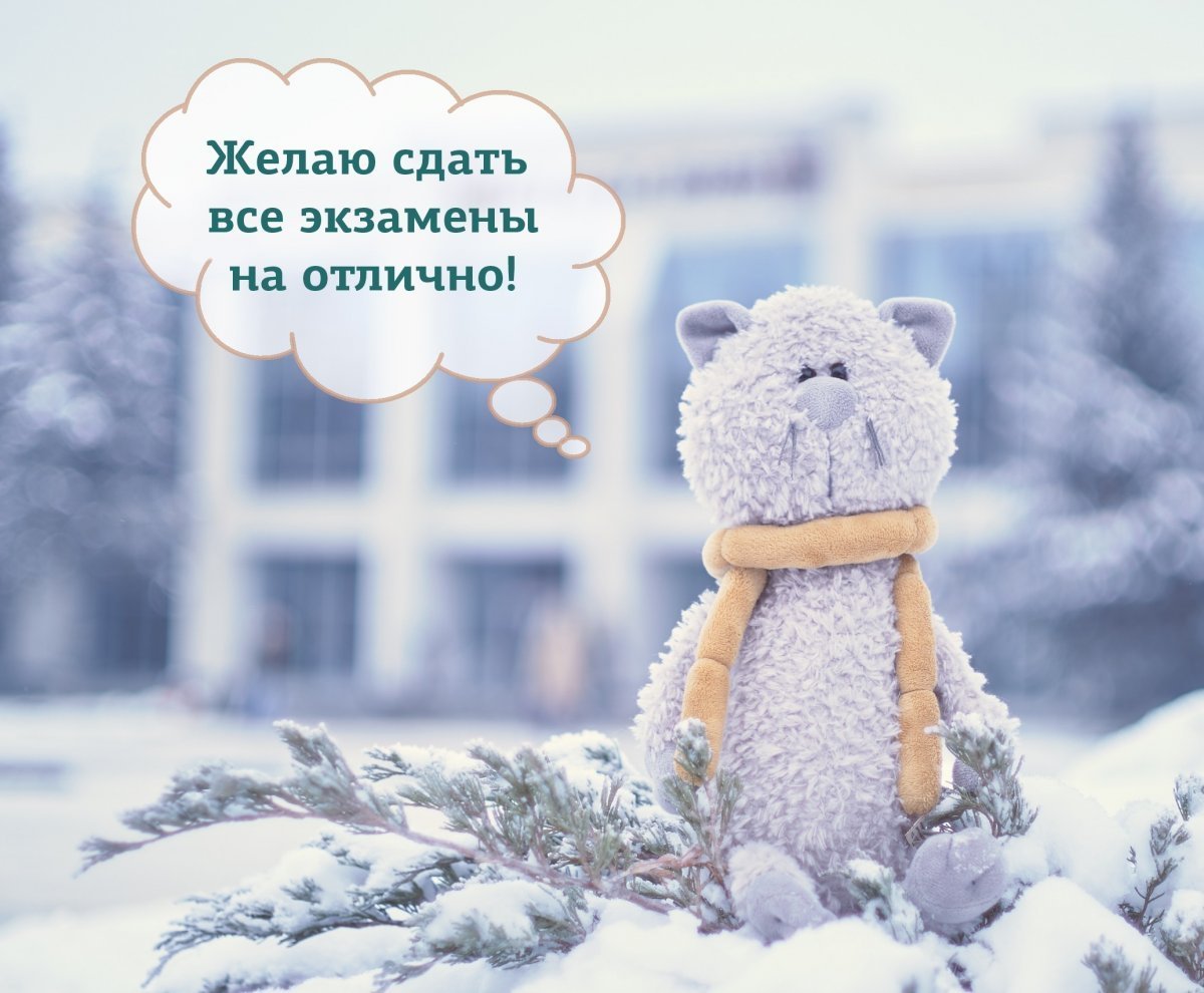 Желаю сдать все экзамены на отлично