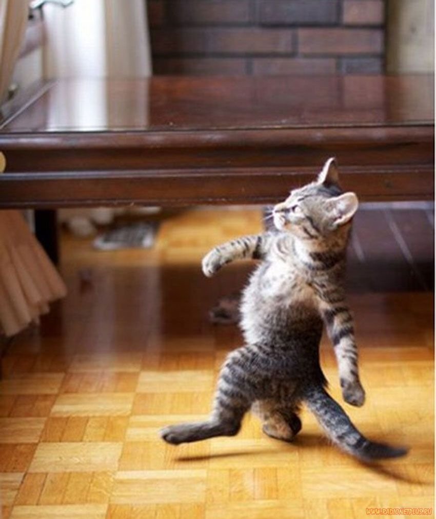 Экзамен лозунг