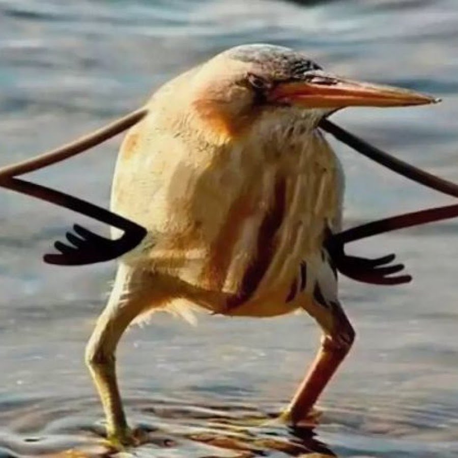 Успехов в учебе