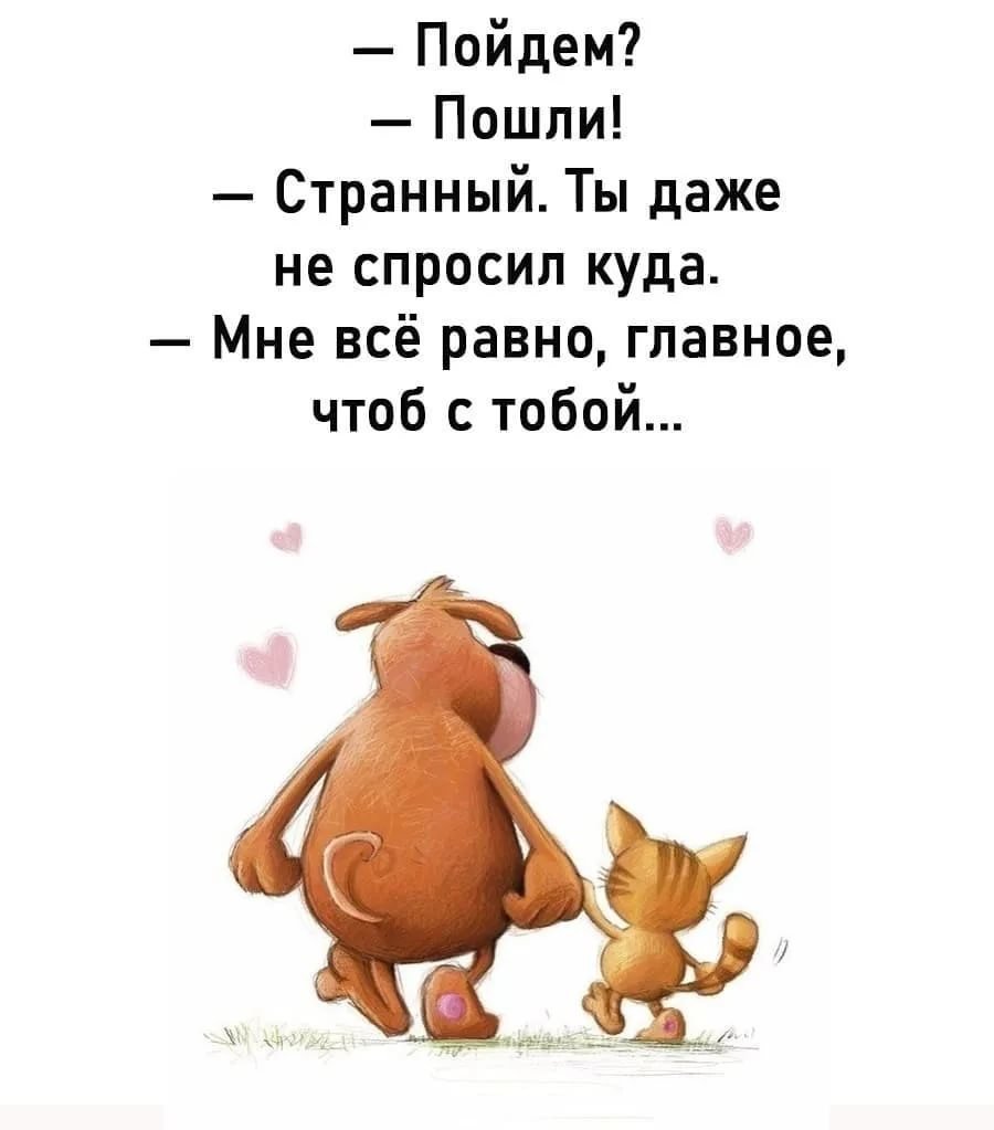 Смешные открытки для поднятия настроения