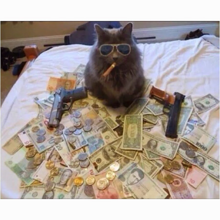 Богатство демотиватор