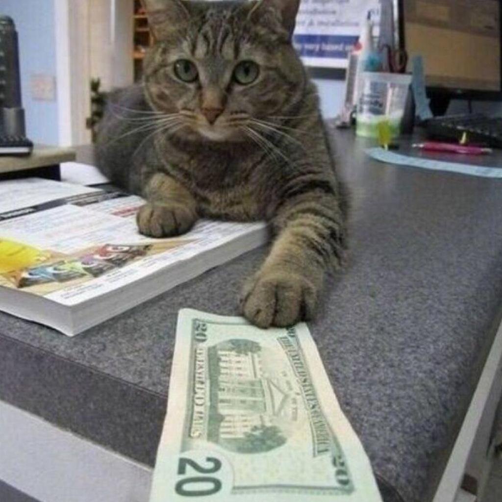 Афоризмы про деньги