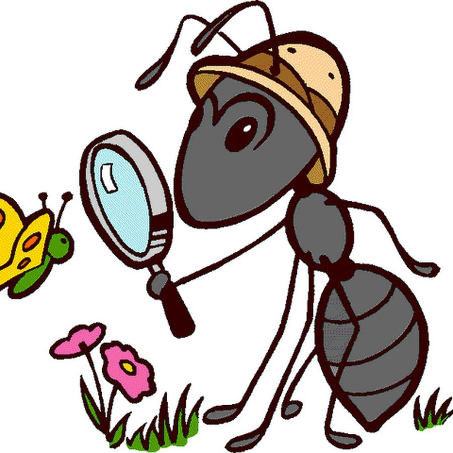 Муравьишка вопросик и мудрая черепаха