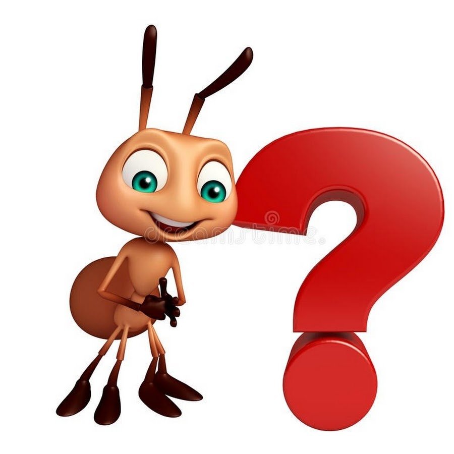 Муравей для детей вопросик