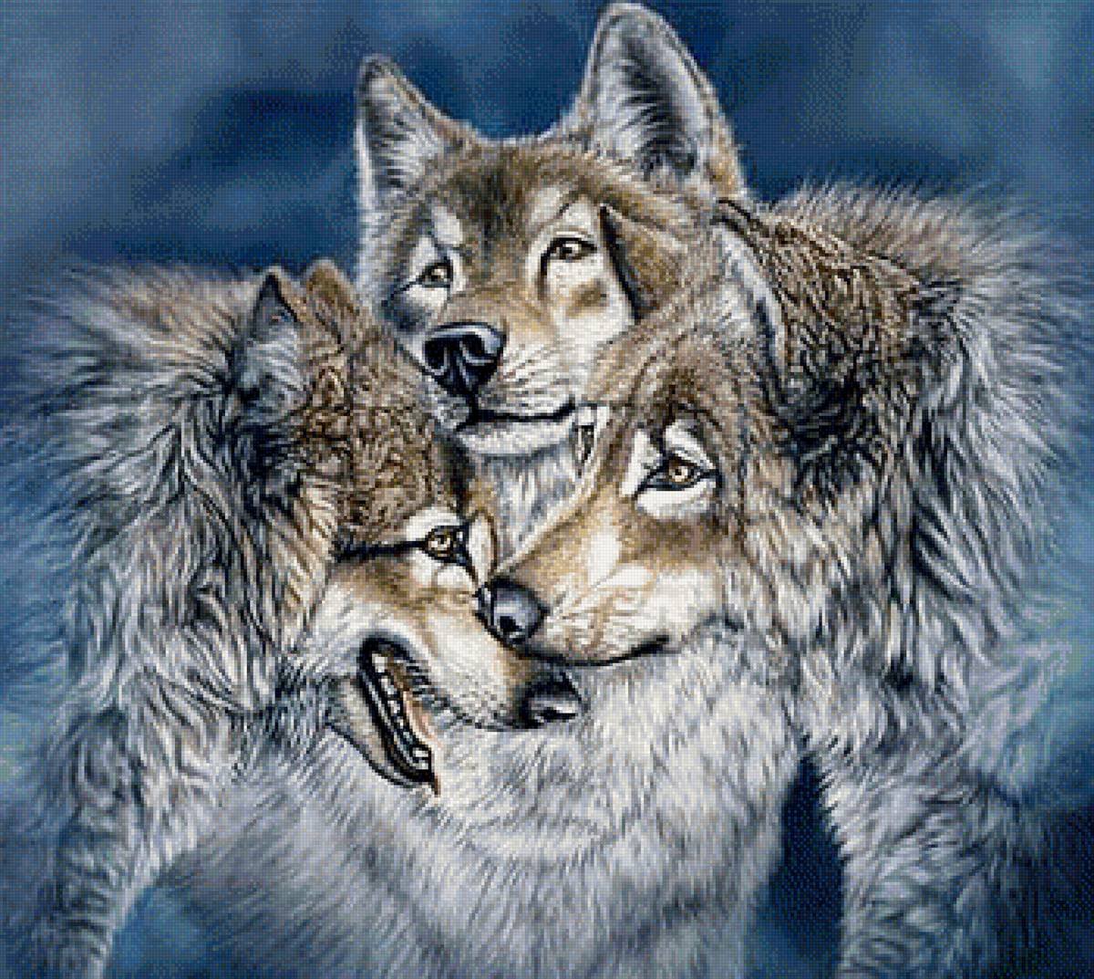 Картины Стивена Гарднера про волка