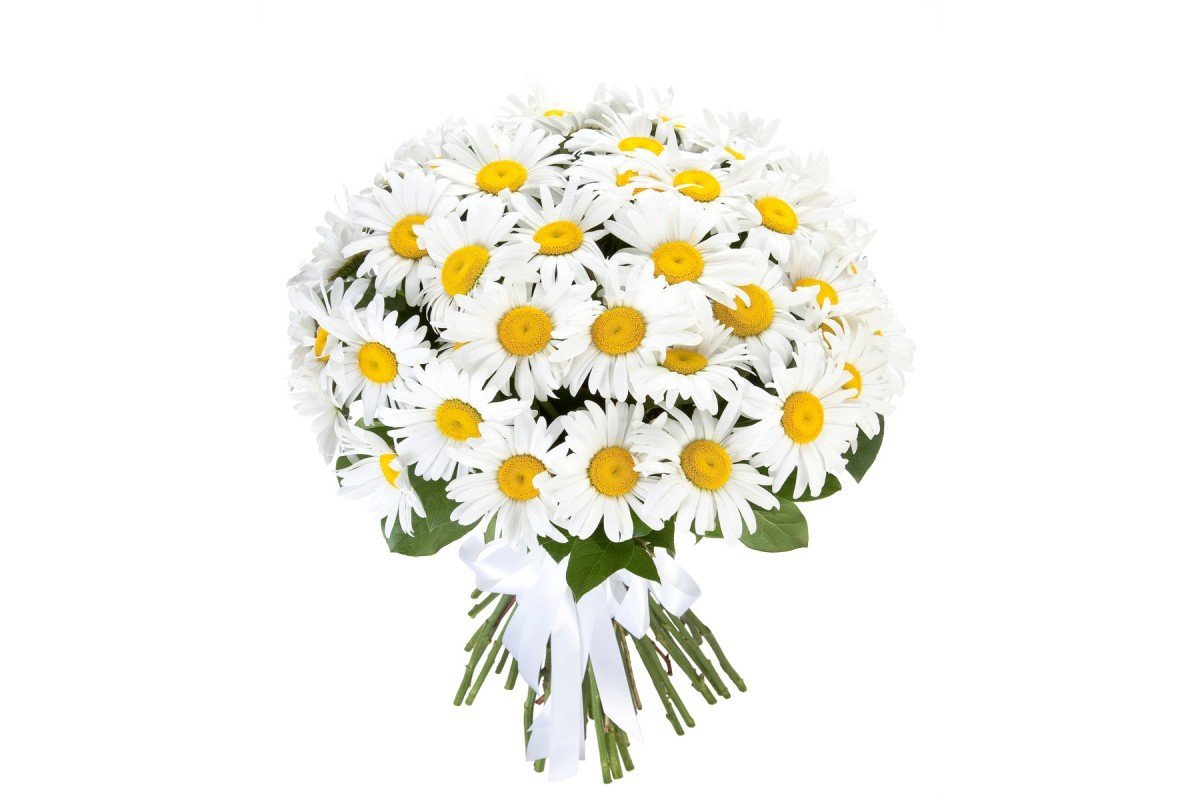 Букет ромашек