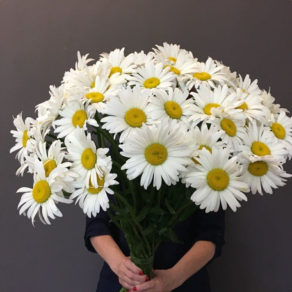 Открытки с днём рождения женщине