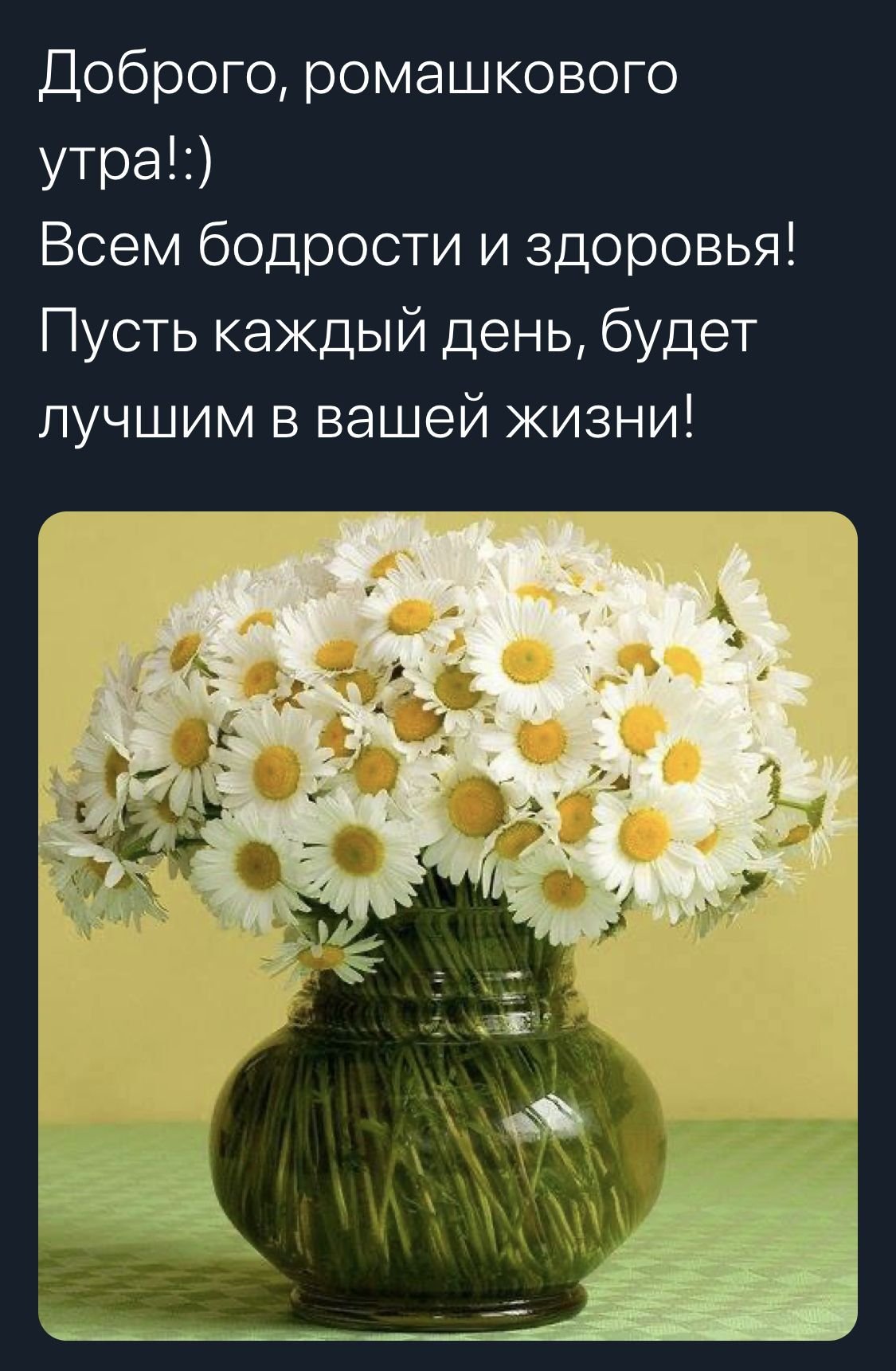 Букеты ромашек с пожеланиями