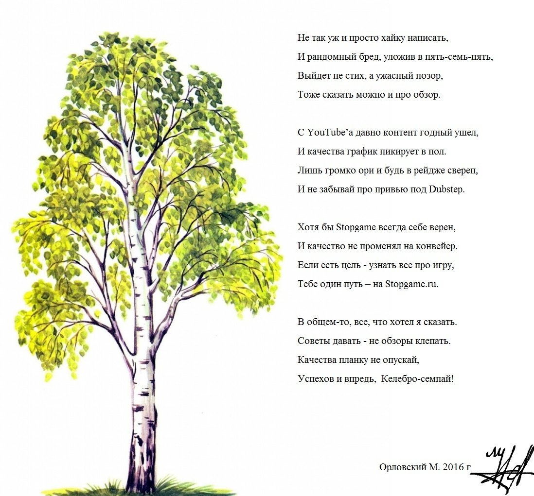 Береза для дошкольников