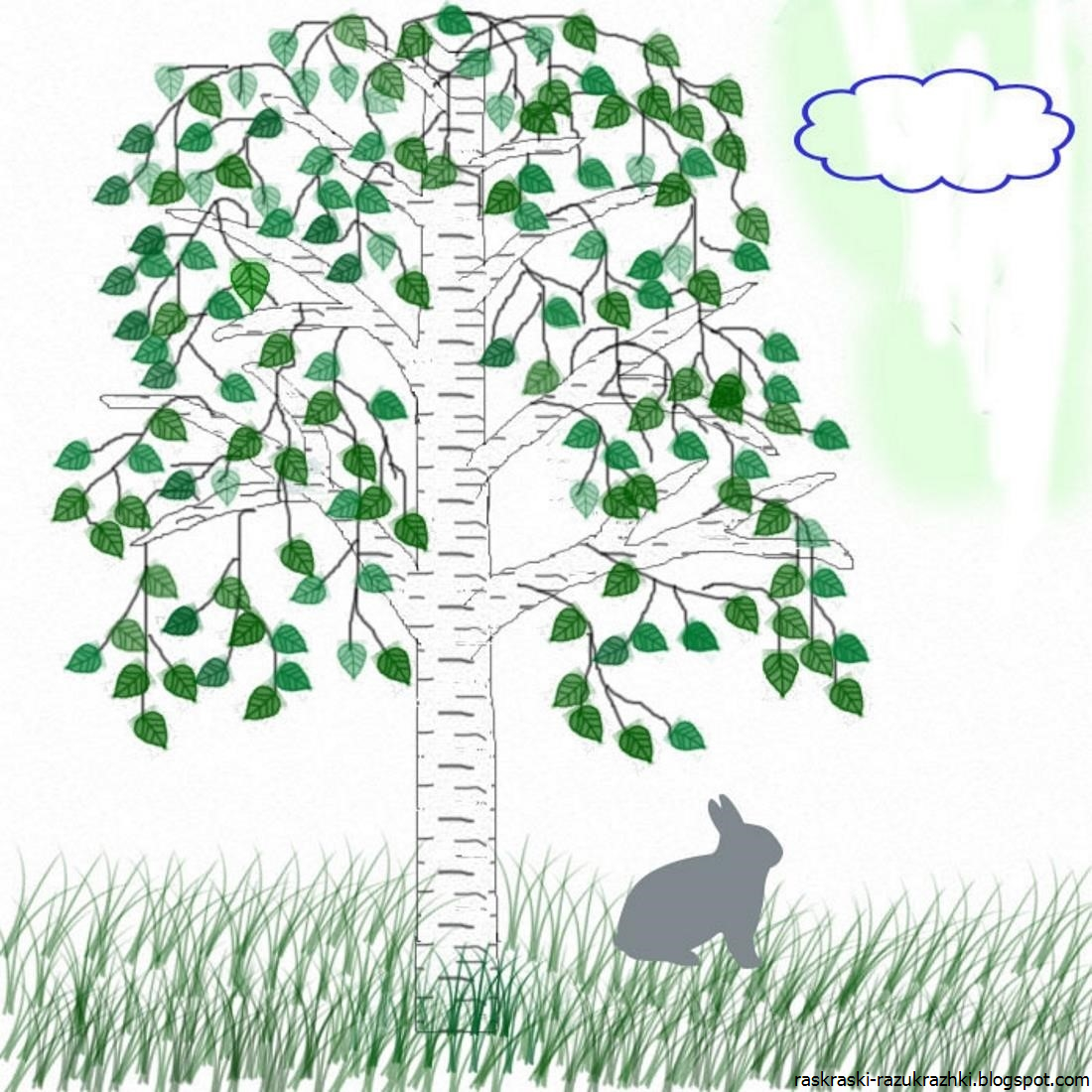 Береза рисунок