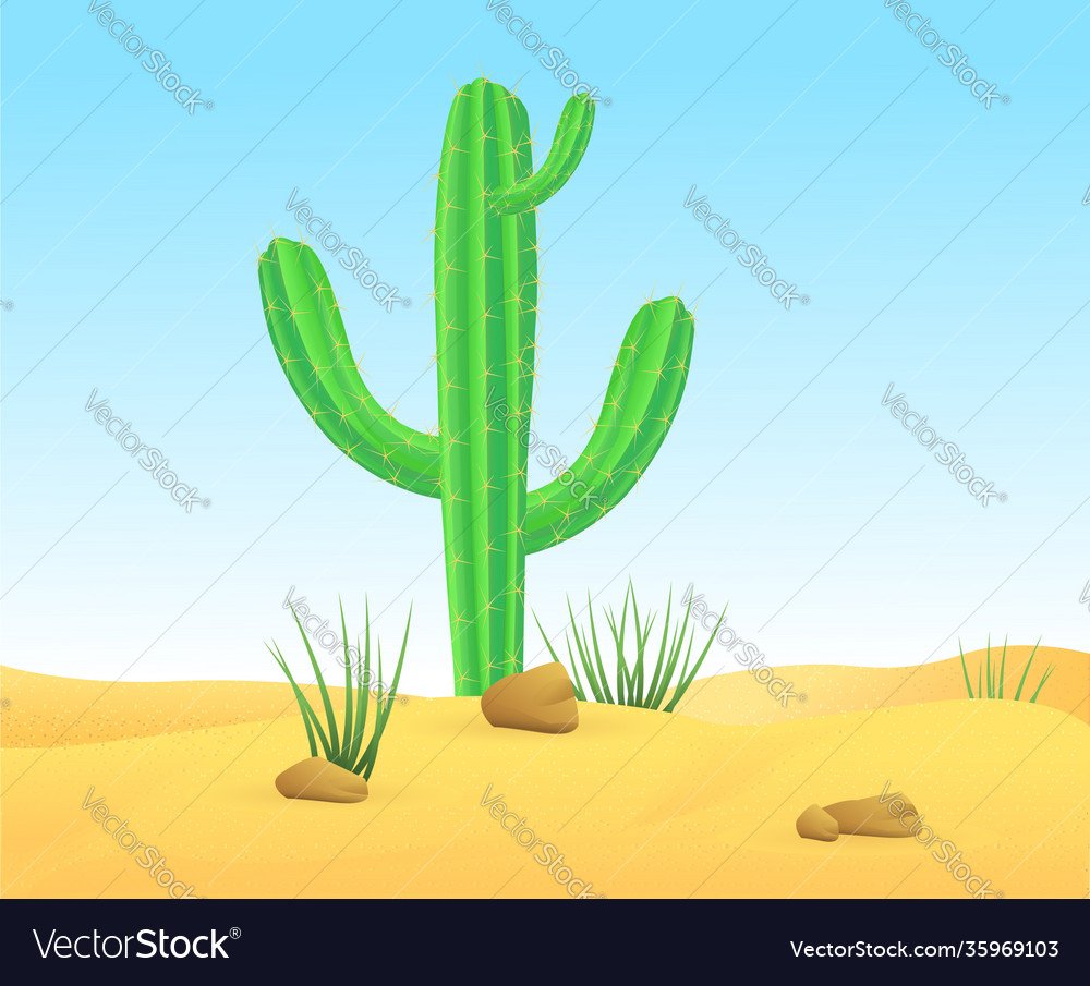 Пустыня кактусы мульт