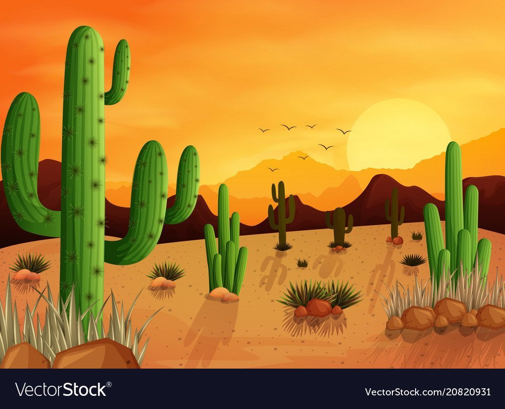 Кактус в пустыне для детей