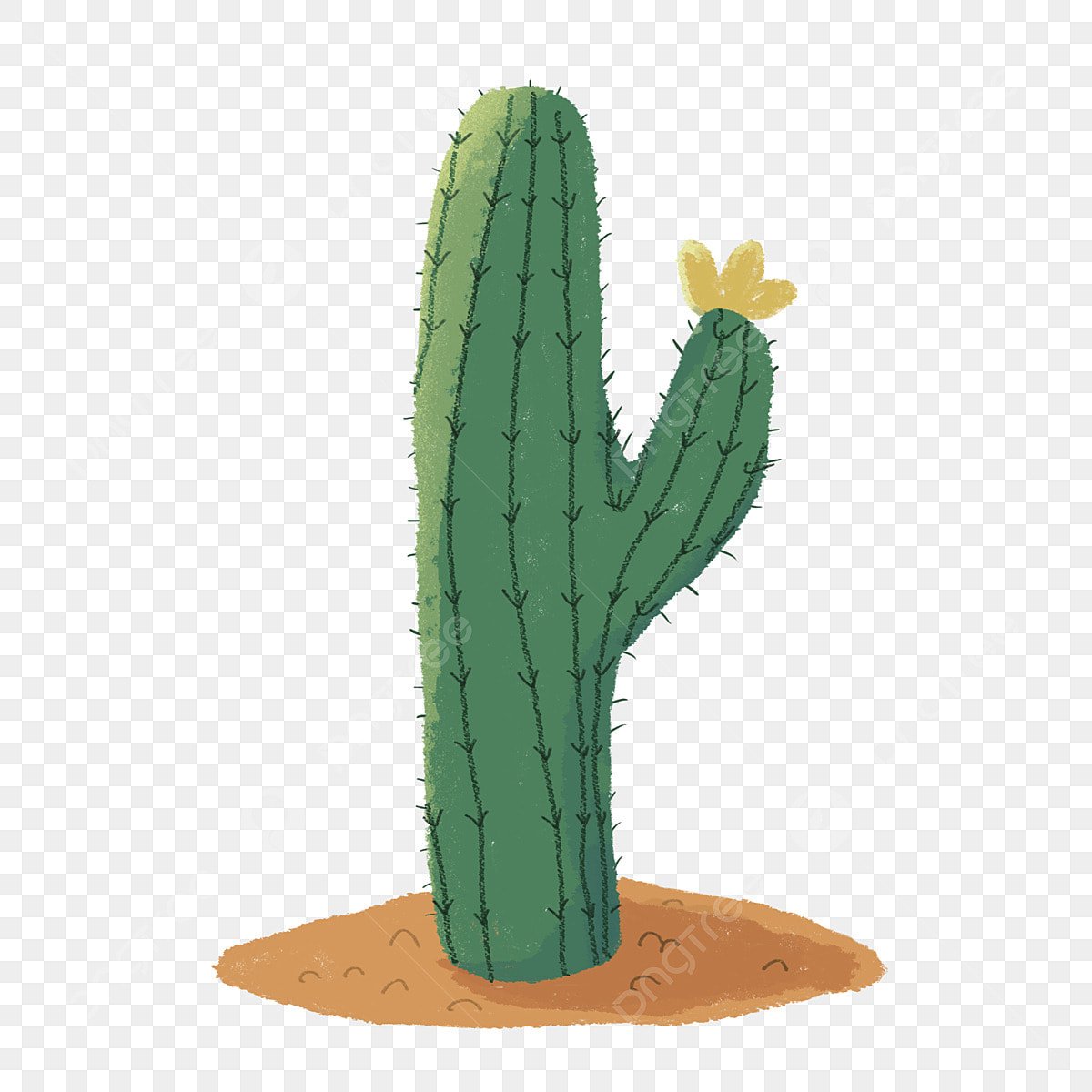 Кактус в пустыне