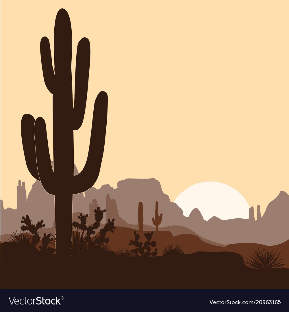 Силуэт кактуса в пустыне