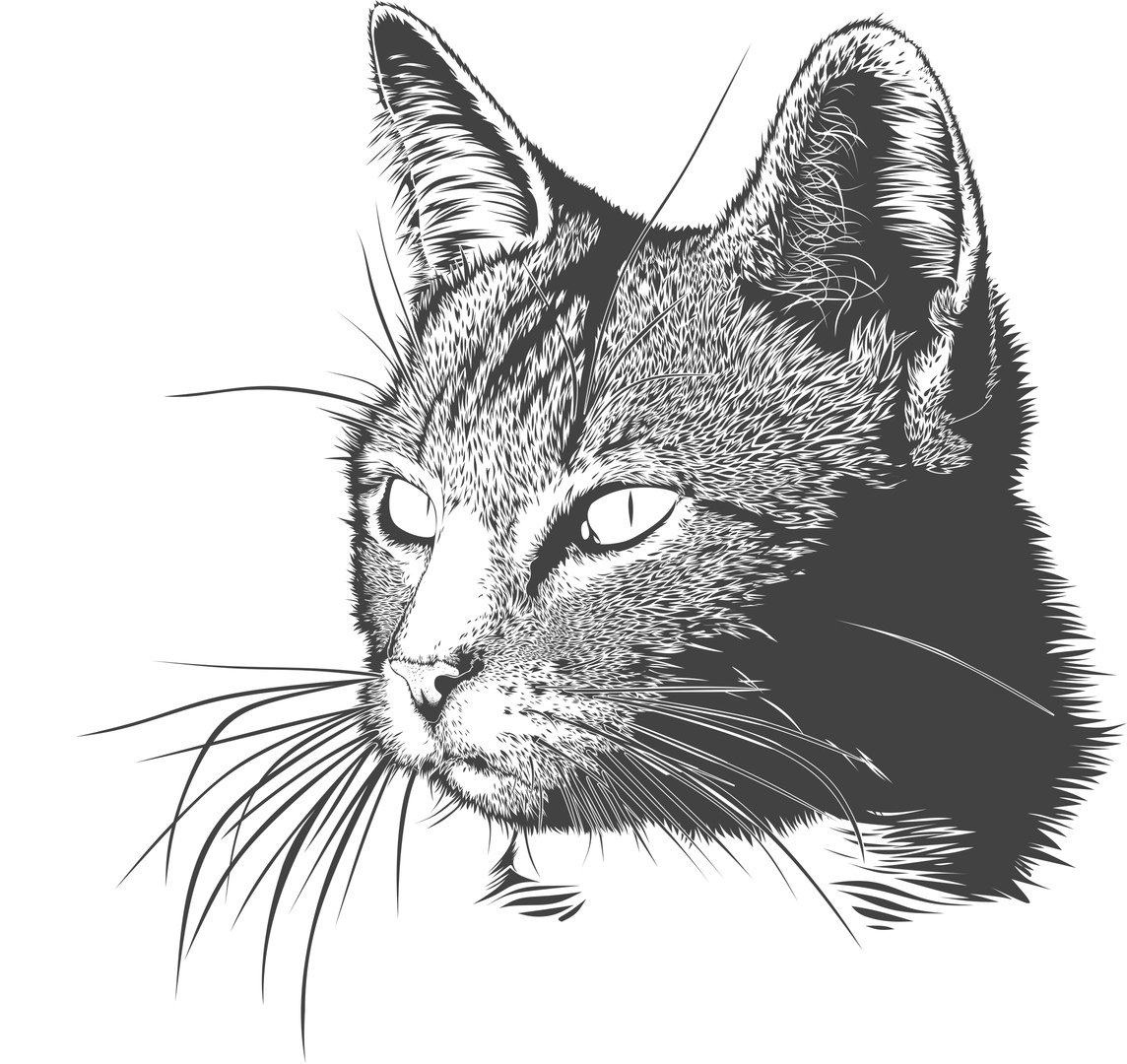 Стимпанк тату