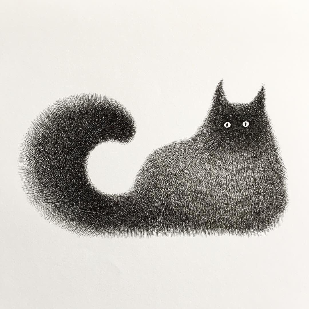 Етчи кошек