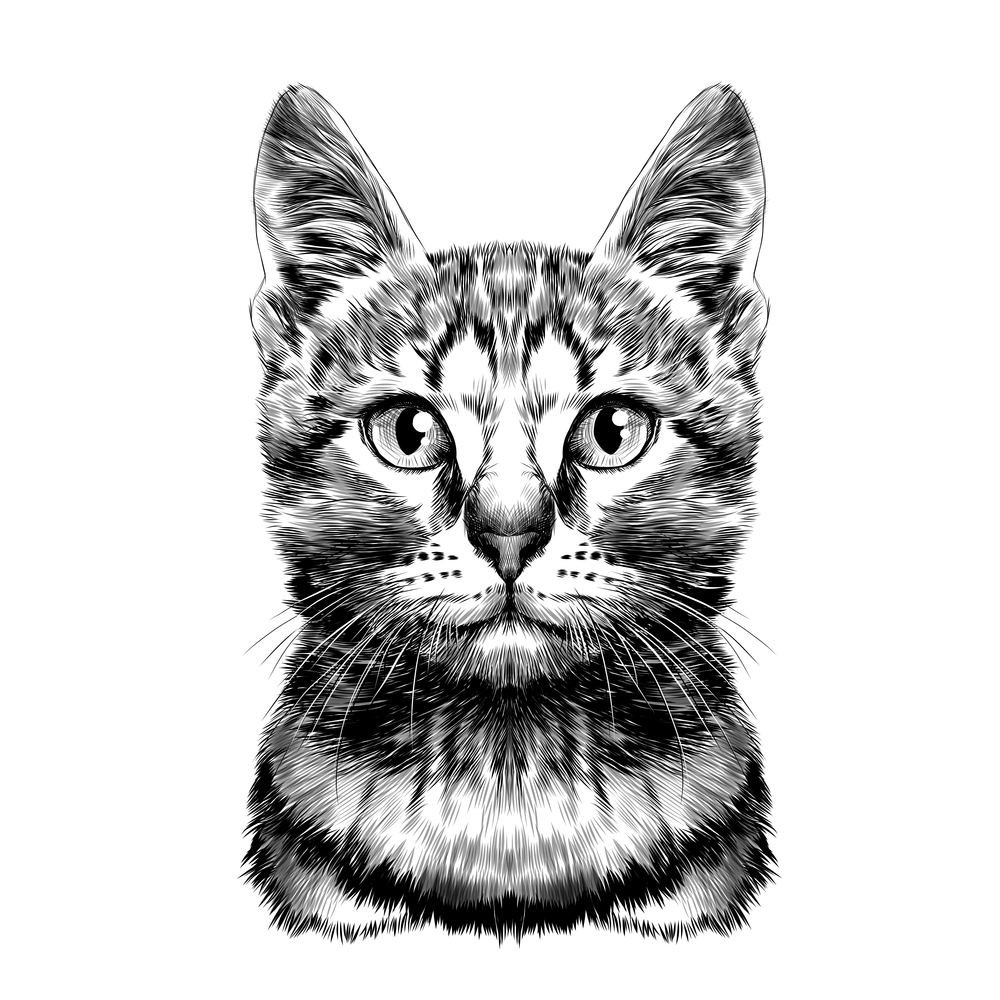 Стилизованные котики