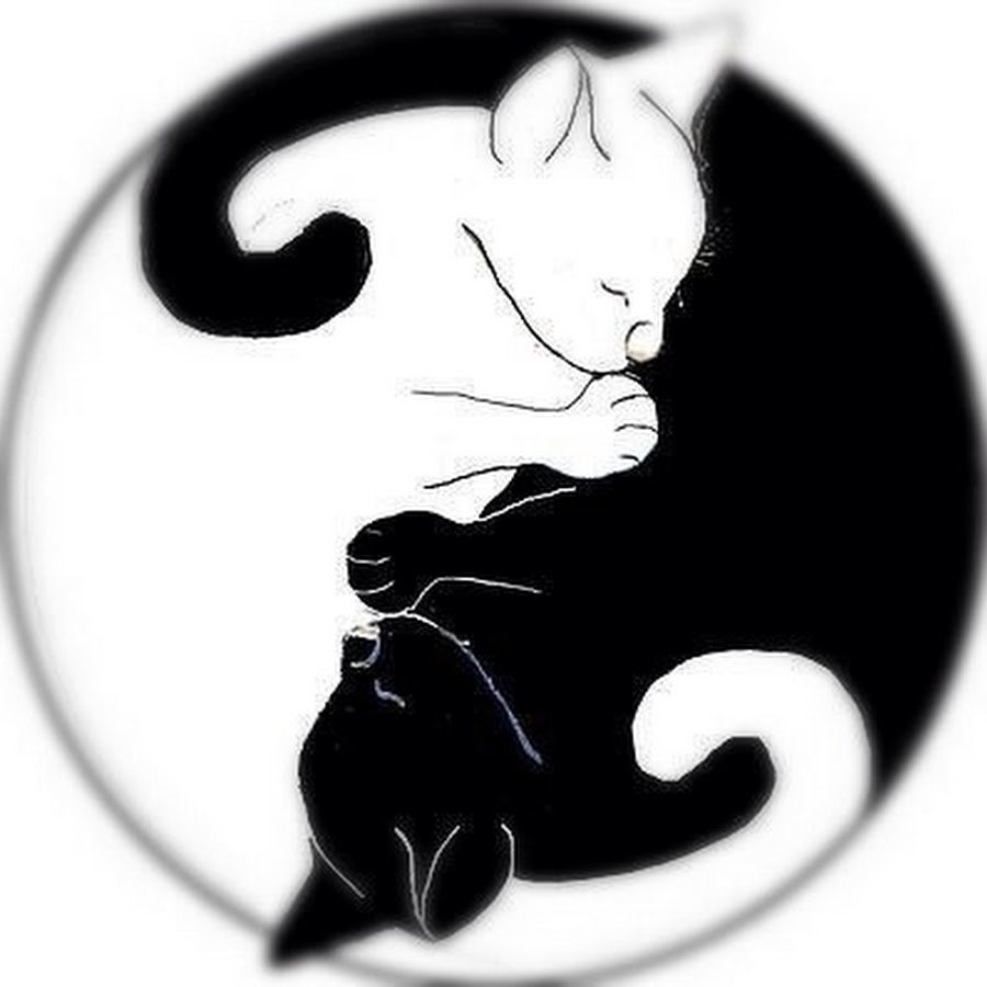 Инь Ян коты ррисунок арт