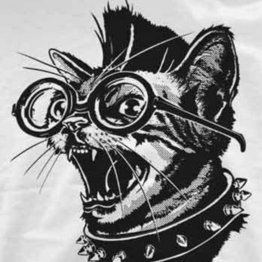 Аниме кот черно белый