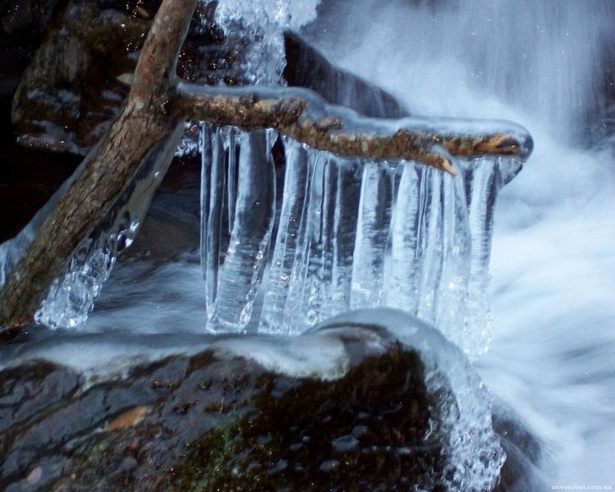 Воды Арктики