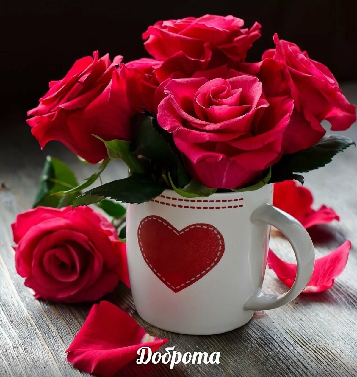 Доброе утро в фиолетовом цвете