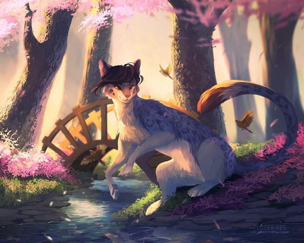 Волшебные кошки