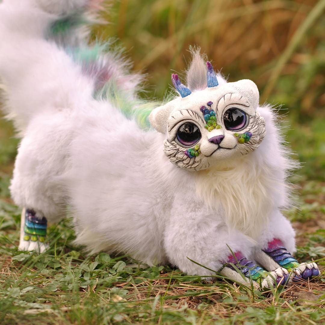 Мексиканский глазоух семейство