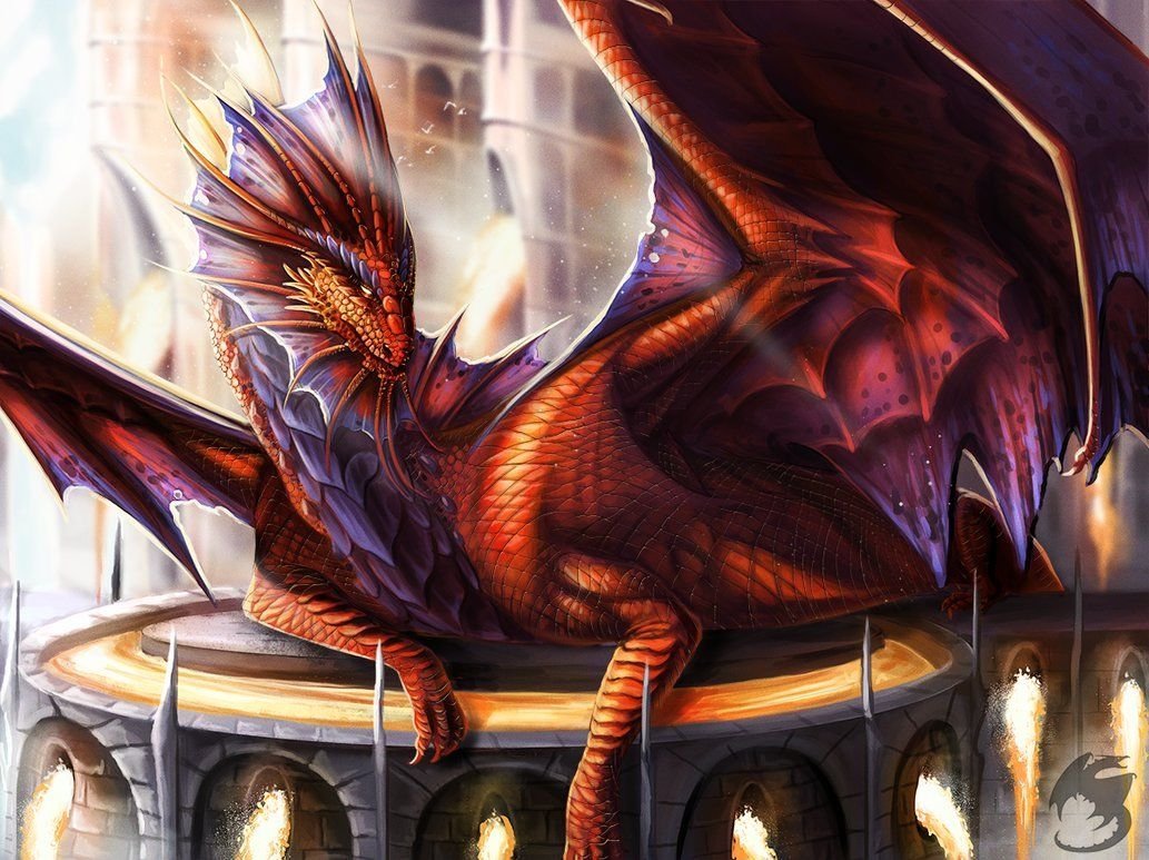 Девушка и дракон фэнтези