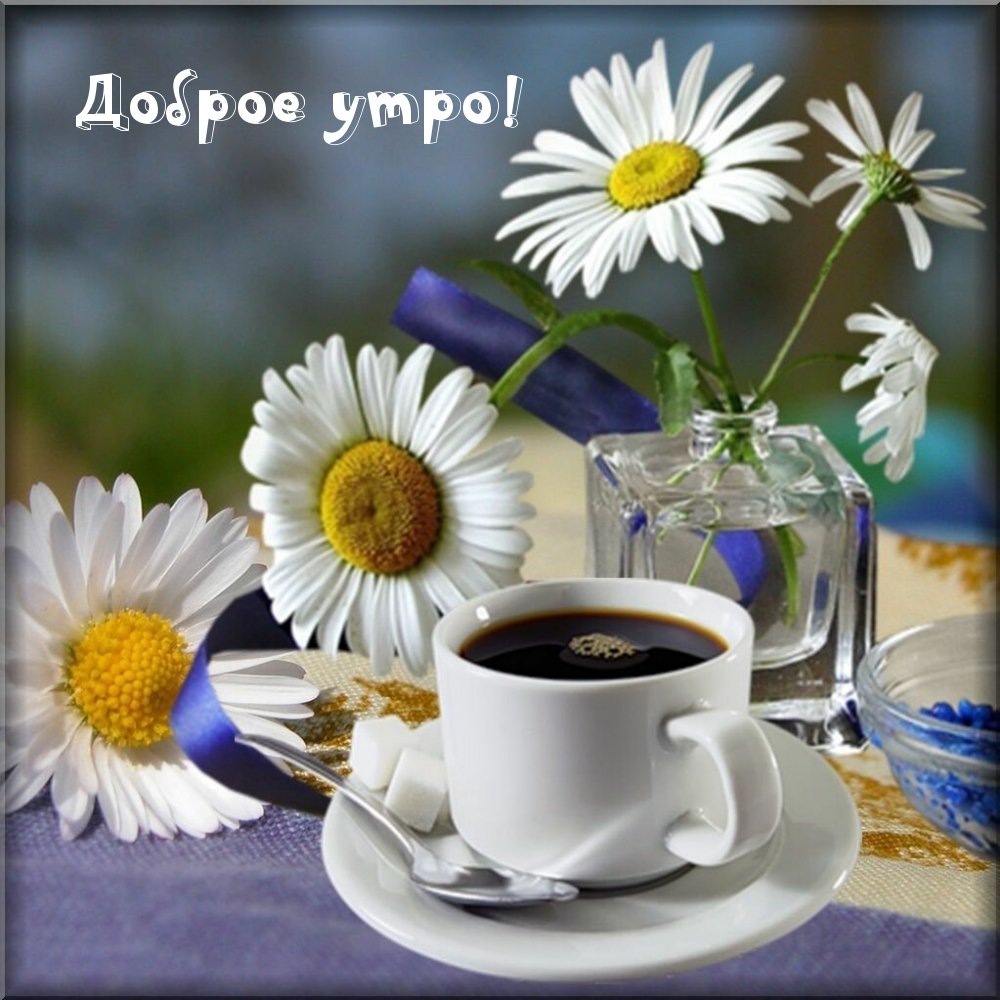 Открытки с добрым утром пр