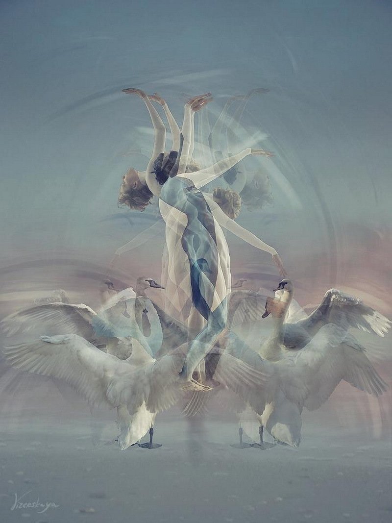 Елена Визерская фотограф