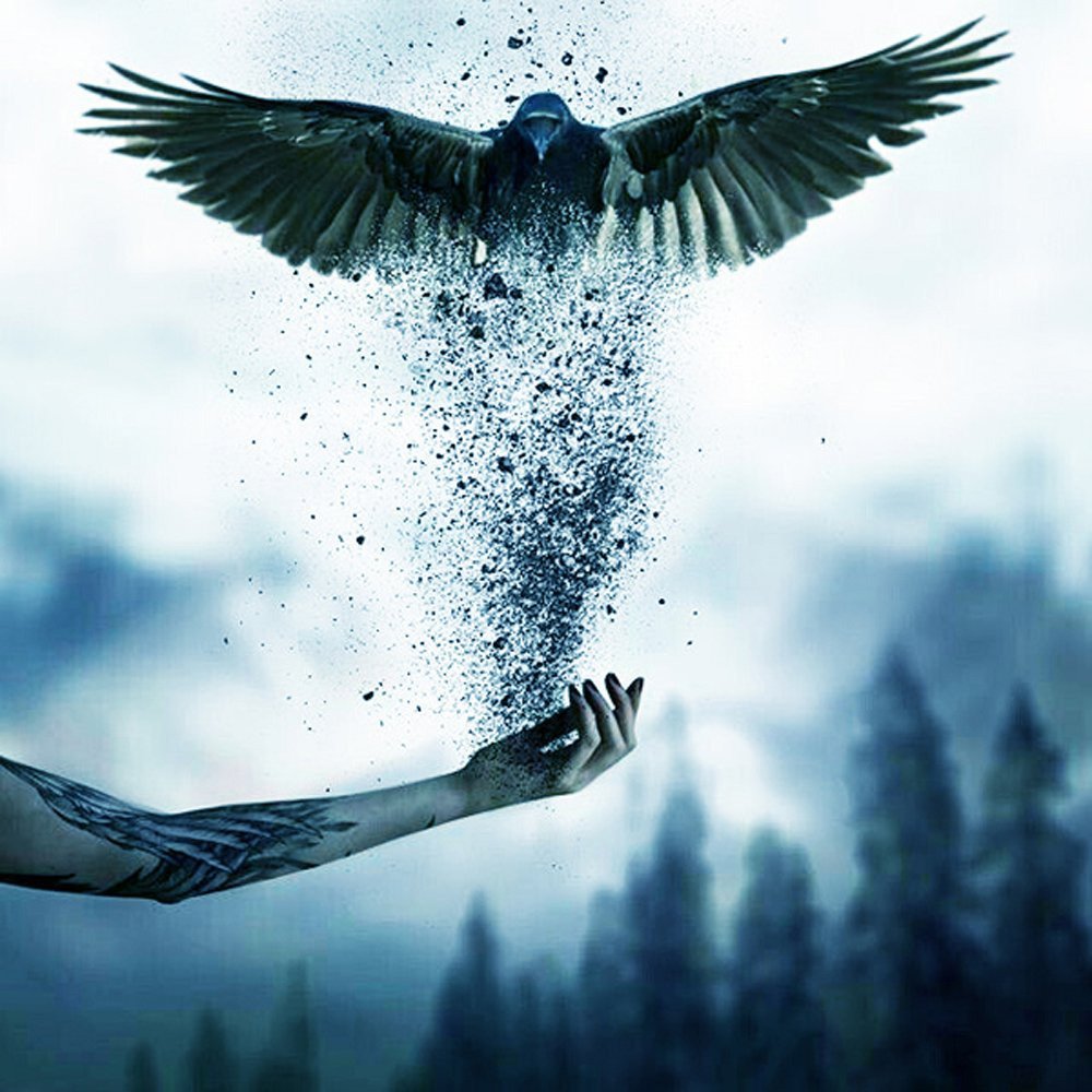 Птица улетает с руки