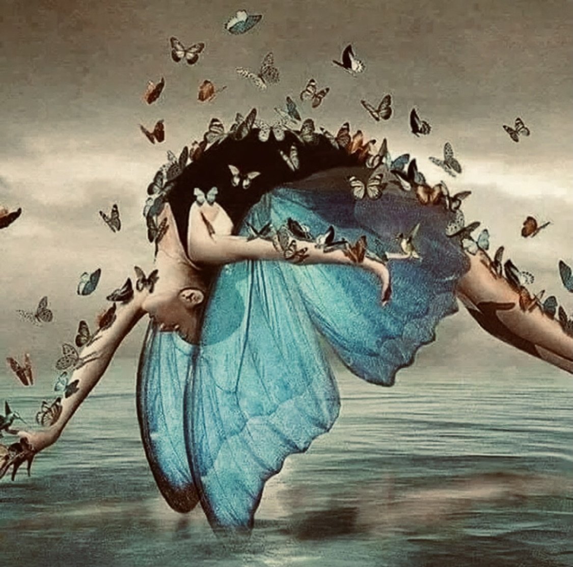 Одинокие птицы