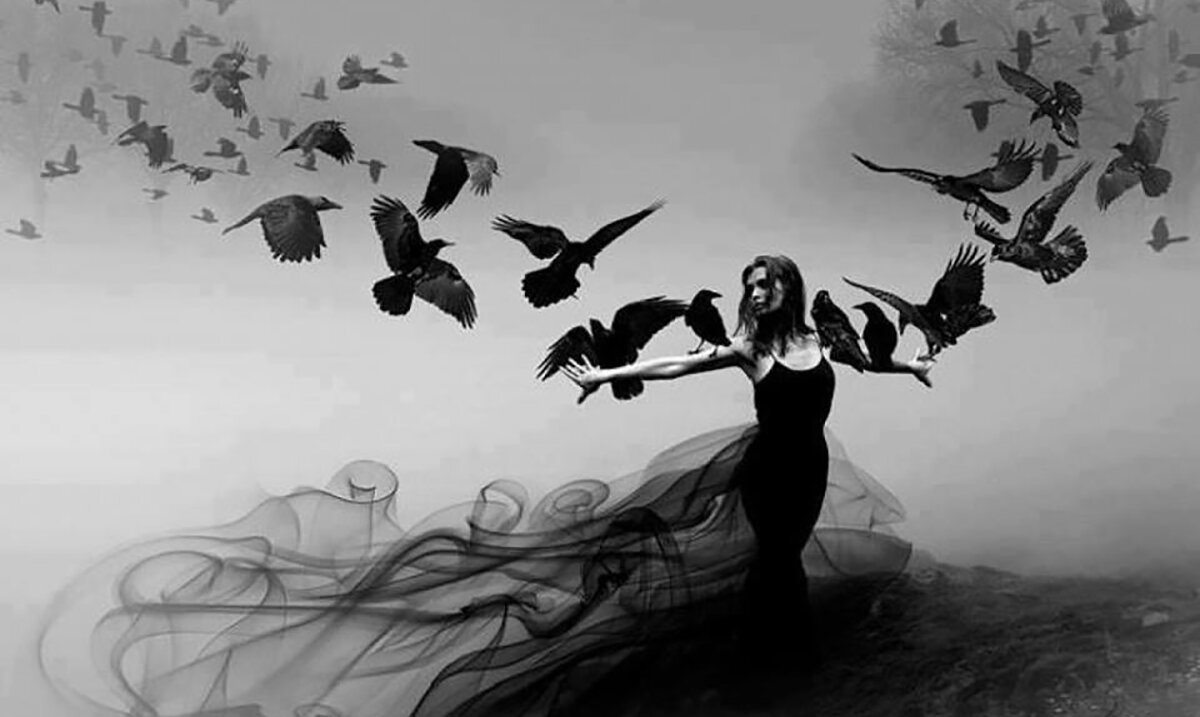 Christian Schloe картины бабочки