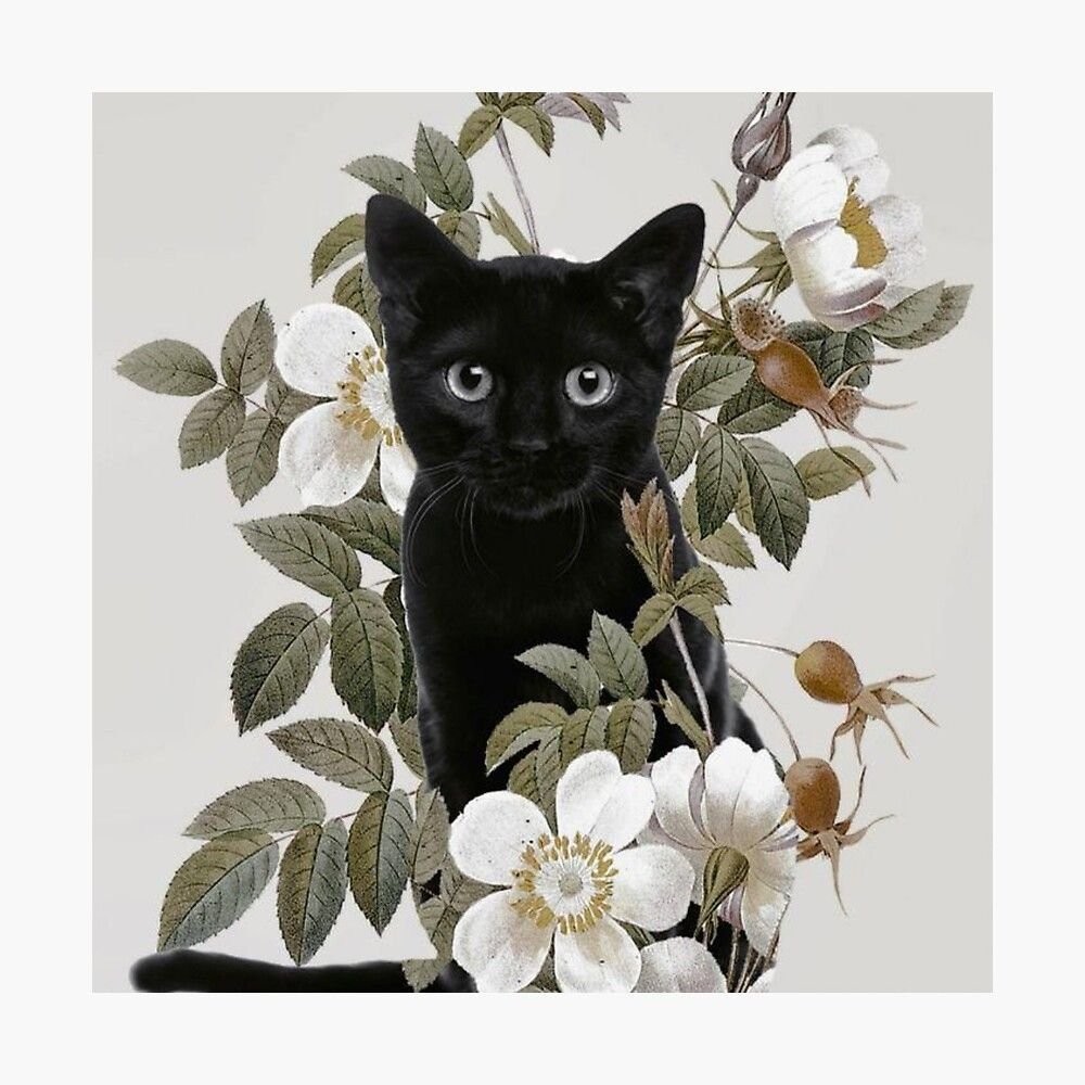 Чашка с кошкой